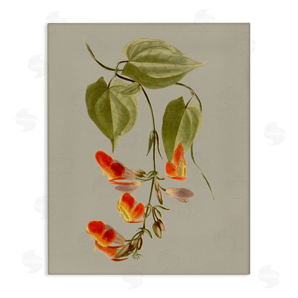 stupell industries Vision Studio | Vine with Red Blossoms Wall Art
