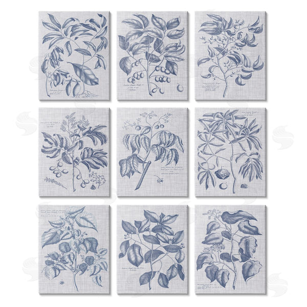 stupell industries Vision Studio | Vintage Bonsai Plant & Fruits Wall Art