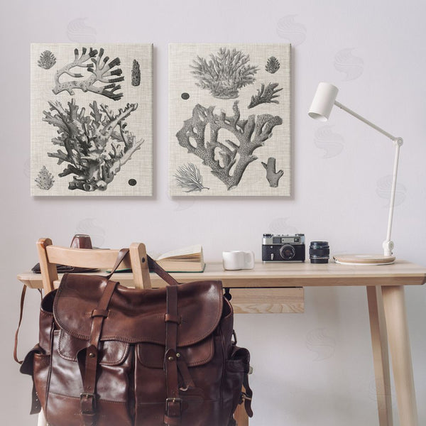 Stupell Industries Vision Studio | Vintage Coral Study Wall Art