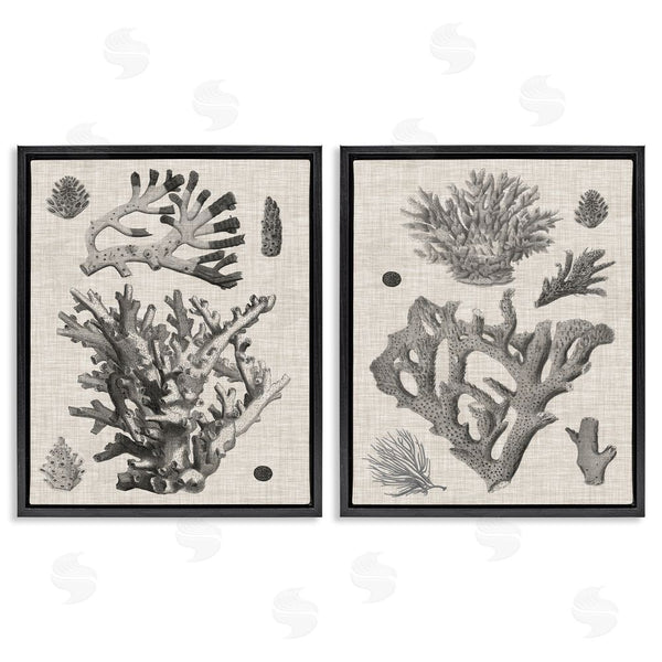 Stupell Industries Vision Studio | Vintage Coral Study Wall Art