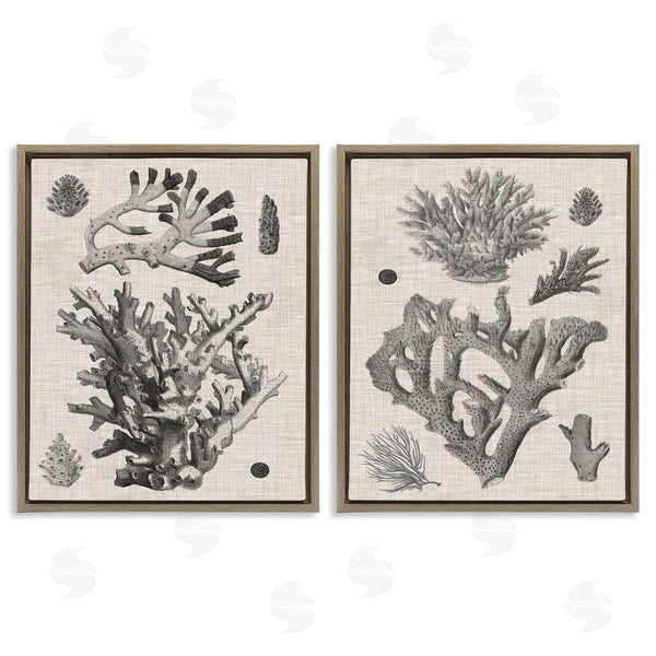 Stupell Industries Vision Studio | Vintage Coral Study Wall Art