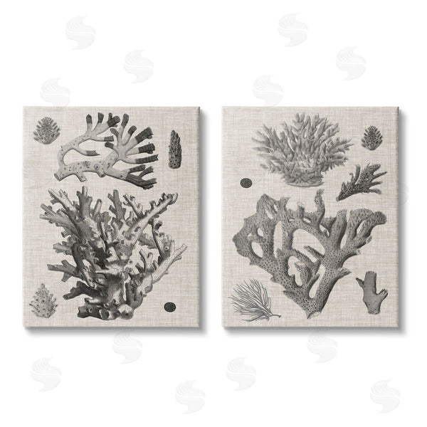 stupell industries Vision Studio | Vintage Coral Study Wall Art