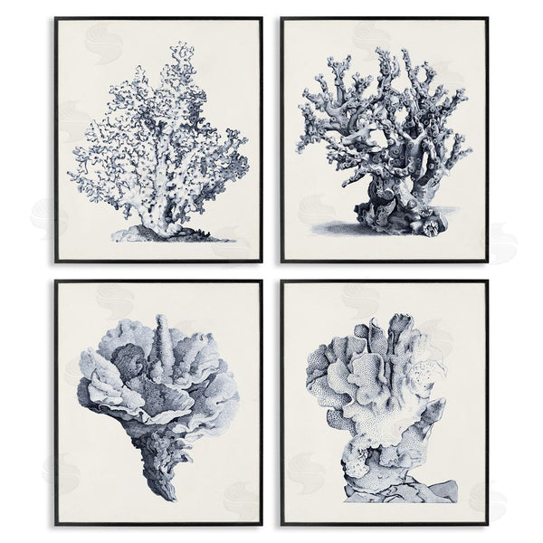 Stupell Industries Vision Studio | Vintage Sea Coral Underwater Ocean Life Wall Art