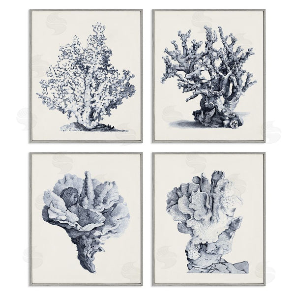 Stupell Industries Vision Studio | Vintage Sea Coral Underwater Ocean Life Wall Art