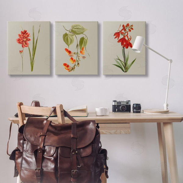 Stupell Industries Vision Studio | Woodland Flower Study Wall Art
