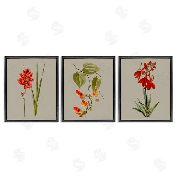 Stupell Industries Vision Studio | Woodland Flower Study Wall Art