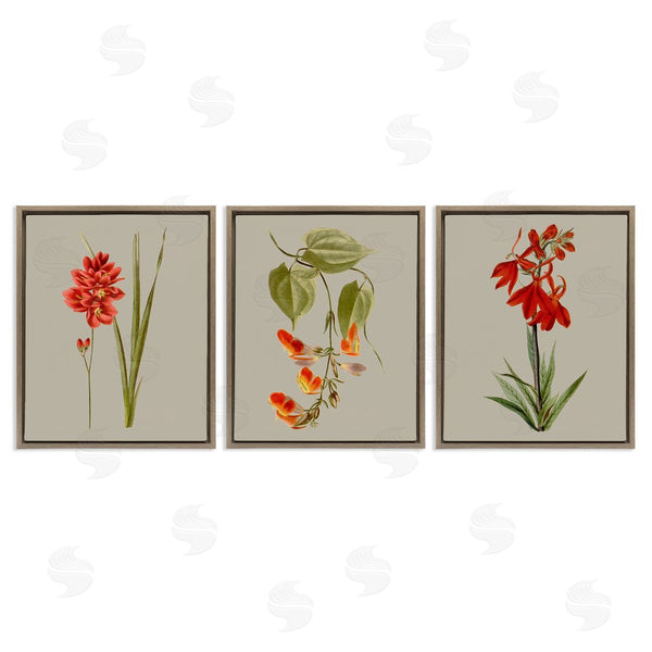 Stupell Industries Vision Studio | Woodland Flower Study Wall Art