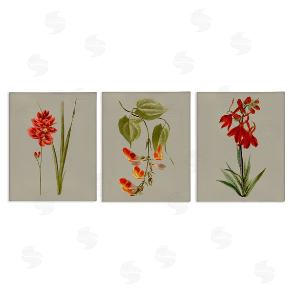 stupell industries Vision Studio | Woodland Flower Study Wall Art