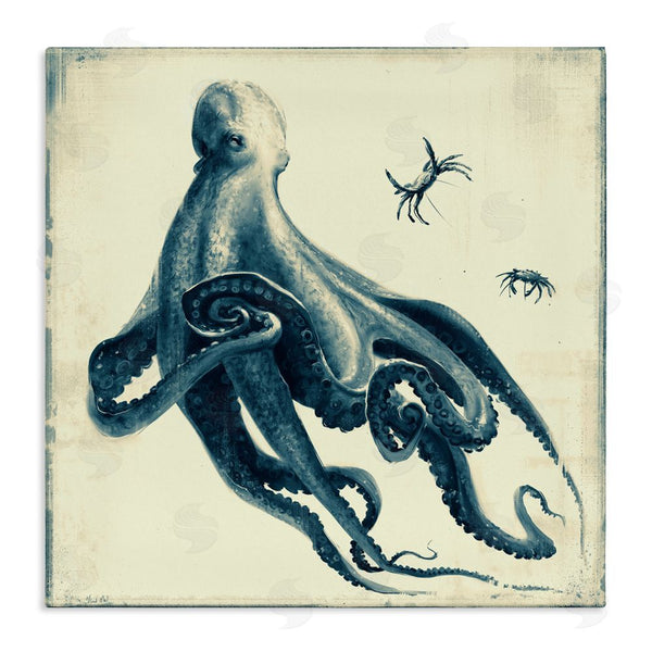 stupell industries Vlad Mel | Octopus & Sea Critters Wall Art