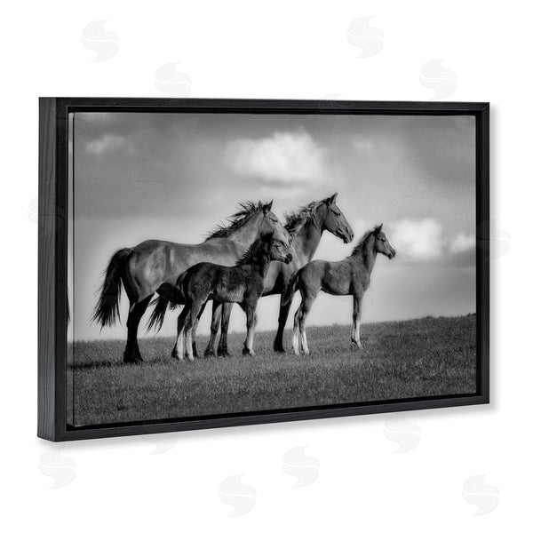 Stupell Industries Wendy Caro | Babies On Board Horse Family