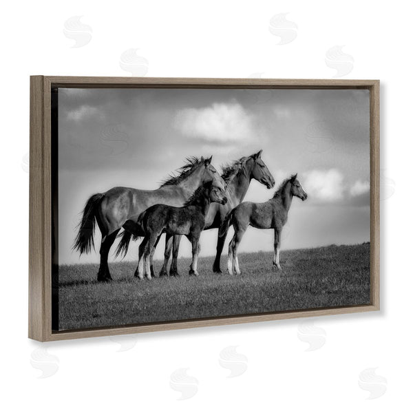 Stupell Industries Wendy Caro | Babies On Board Horse Family