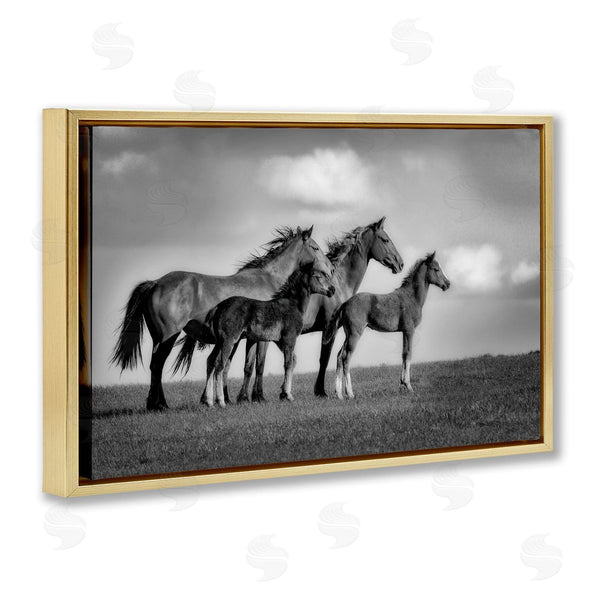 Stupell Industries Wendy Caro | Babies On Board Horse Family