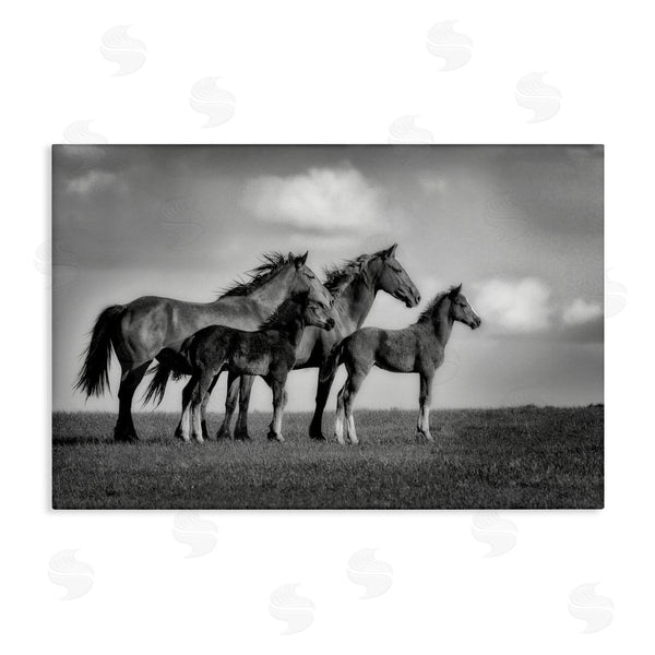 stupell industries Wendy Caro | Babies On Board Horse Family