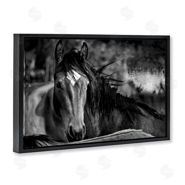 Stupell Industries Wendy Caro | Watchful Presence Horse
