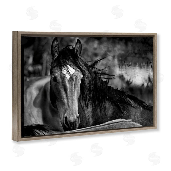 Stupell Industries Wendy Caro | Watchful Presence Horse