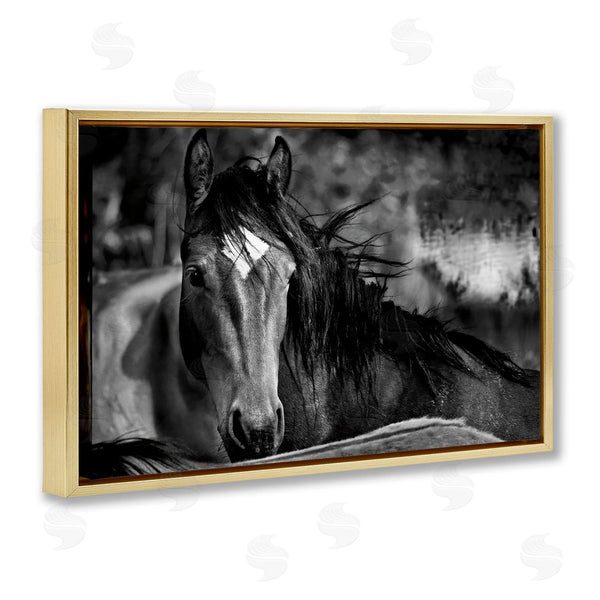 Stupell Industries Wendy Caro | Watchful Presence Horse