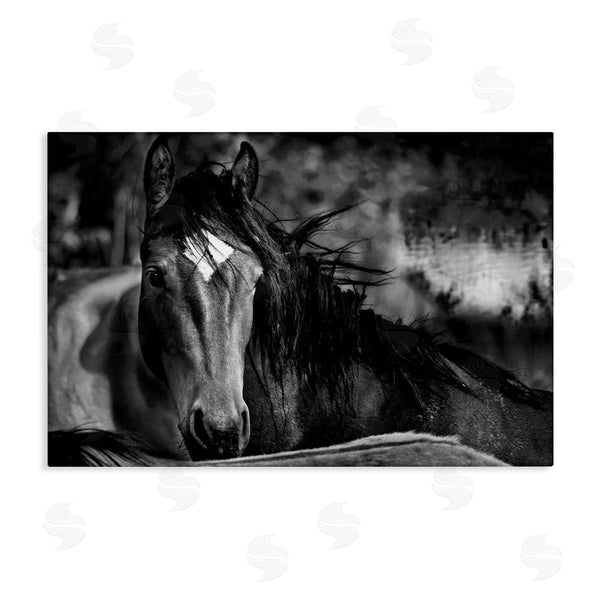 stupell industries Wendy Caro | Watchful Presence Horse