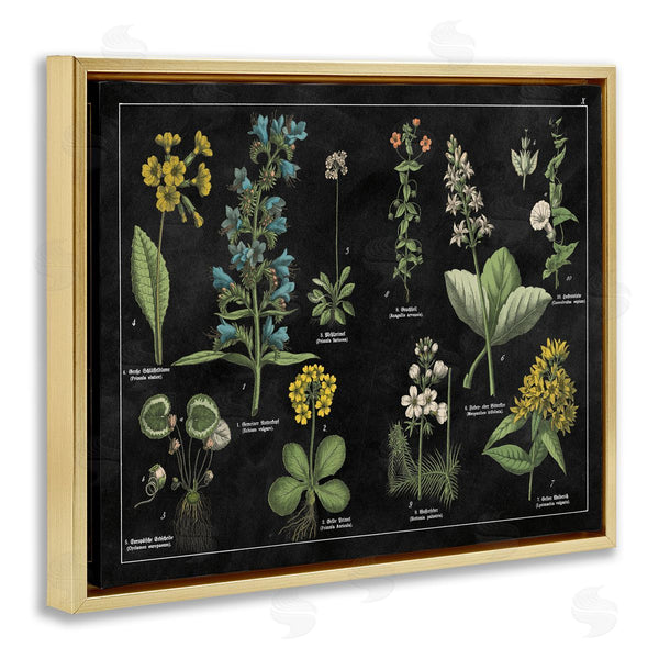 Stupell Industries Wild Apple Portfolio | Antique Wild Flower Chart