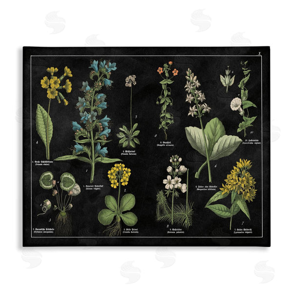 stupell industries Wild Apple Portfolio | Antique Wild Flower Chart