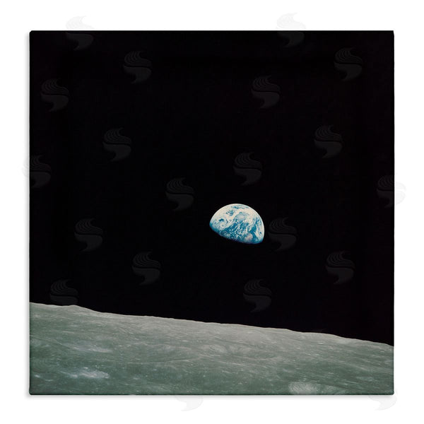 stupell industries Wild Apple Portfolio | Earth Outer Space View Wall Art