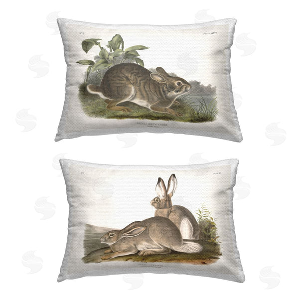 Stupell Industries Wild Apple Portfolio | Gentle Resting Cottage Rabbit