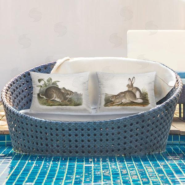 Stupell Industries Wild Apple Portfolio | Gentle Resting Cottage Rabbit