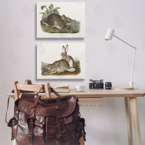 Stupell Industries Wild Apple Portfolio | Gentle Resting Cottage Rabbit Wall Art