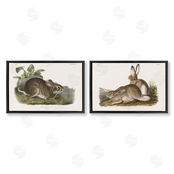 Stupell Industries Wild Apple Portfolio | Gentle Resting Cottage Rabbit Wall Art