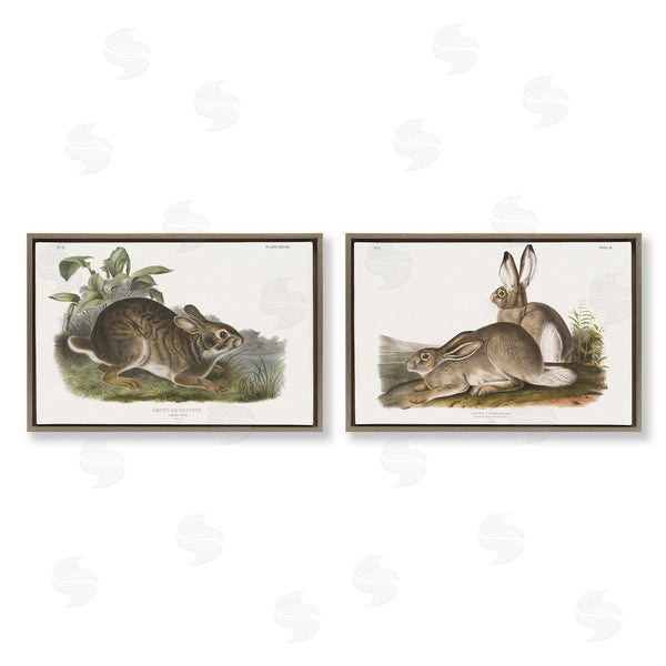 Stupell Industries Wild Apple Portfolio | Gentle Resting Cottage Rabbit Wall Art