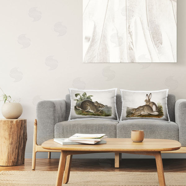 stupell industries Wild Apple Portfolio | Gentle Resting Cottage Rabbit