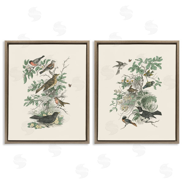 Stupell Industries Wild Apple Portfolio | Honeybloom Birds In Nature