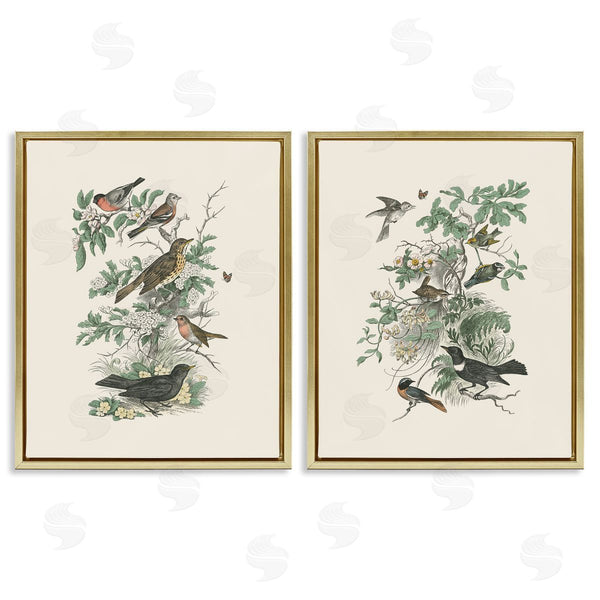Stupell Industries Wild Apple Portfolio | Honeybloom Birds In Nature