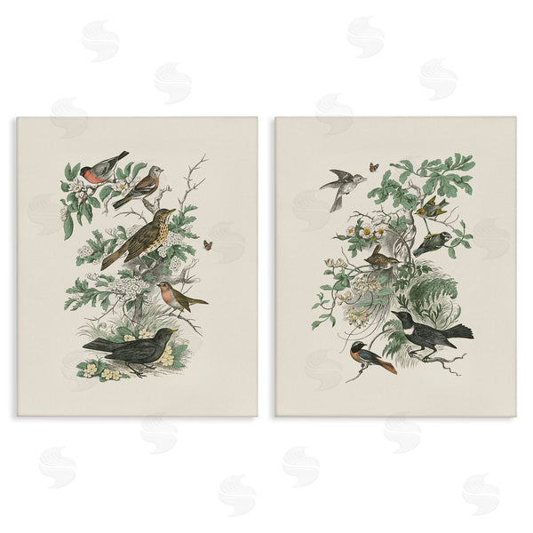 stupell industries Wild Apple Portfolio | Honeybloom Birds in Nature