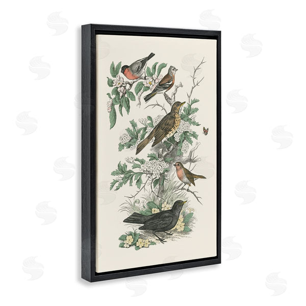 Stupell Industries Wild Apple Portfolio | Honeybloom Birds Perched