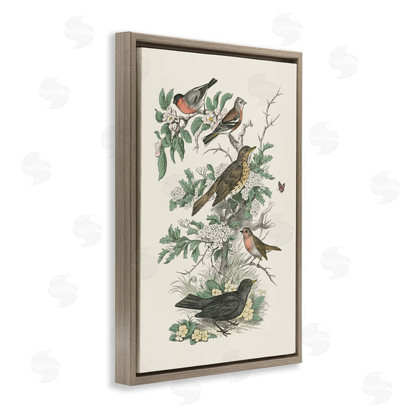 Stupell Industries Wild Apple Portfolio | Honeybloom Birds Perched