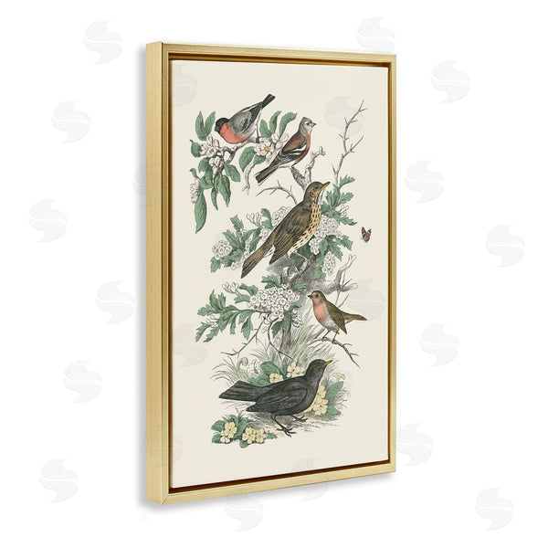 Stupell Industries Wild Apple Portfolio | Honeybloom Birds Perched