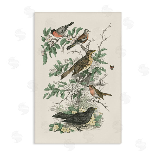 stupell industries Wild Apple Portfolio | Honeybloom Birds Perched