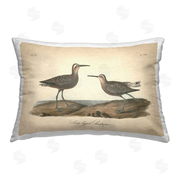 Stupell Industries Wild Apple Portfolio | Long Legged Sandpiper