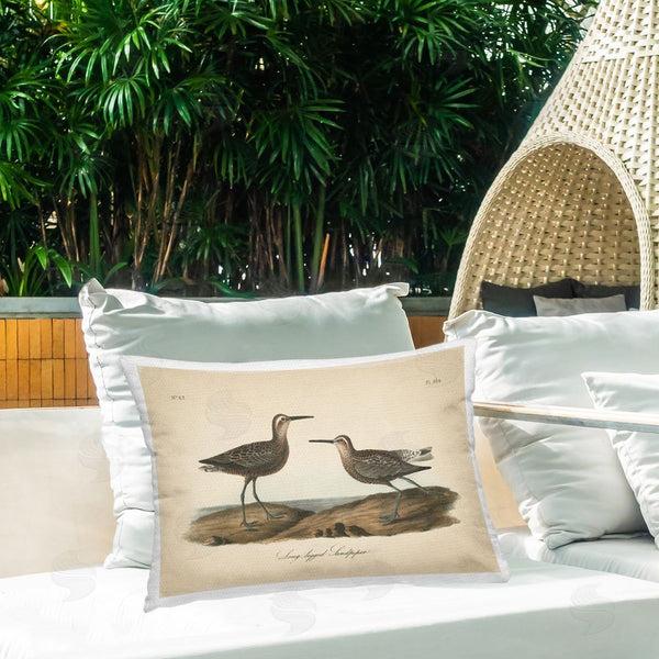 Stupell Industries Wild Apple Portfolio | Long Legged Sandpiper