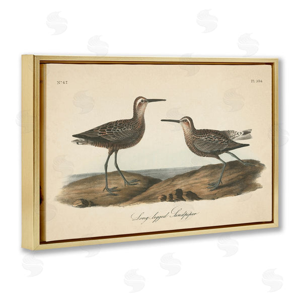 Stupell Industries Wild Apple Portfolio | Long Legged Sandpiper