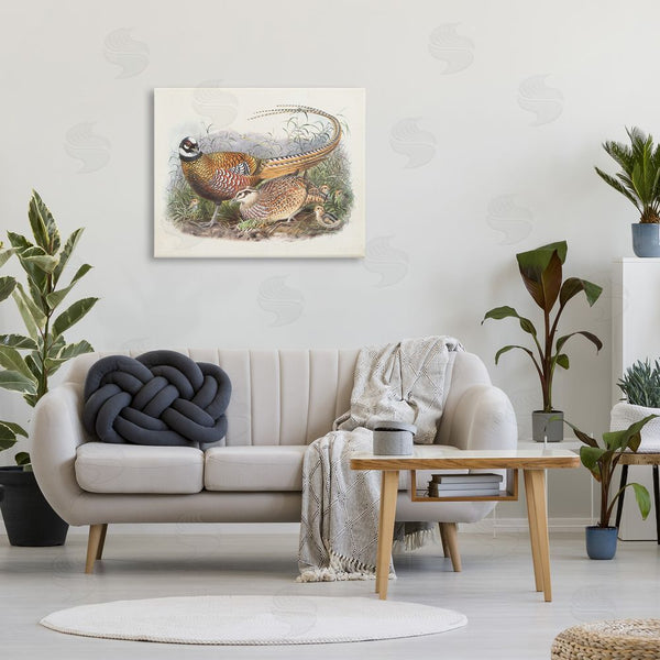 Stupell Industries Wild Apple Portfolio | Pheasant Family In Nature Wall Art
