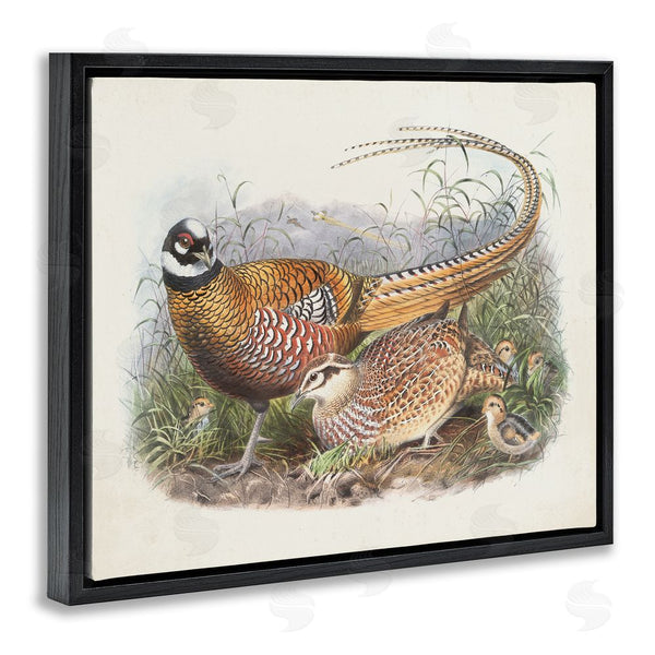 Stupell Industries Wild Apple Portfolio | Pheasant Family In Nature Wall Art