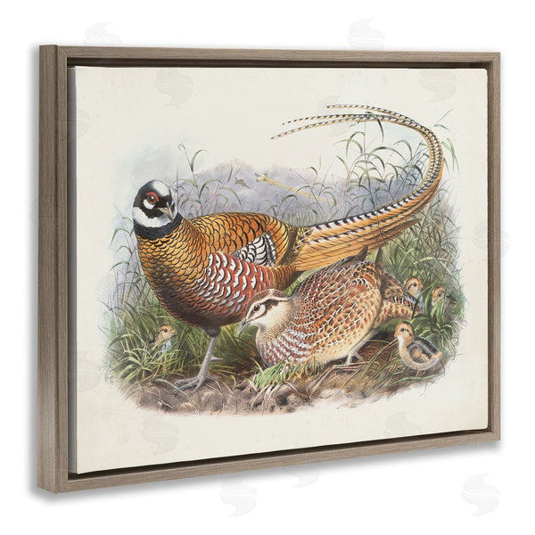 Stupell Industries Wild Apple Portfolio | Pheasant Family In Nature Wall Art