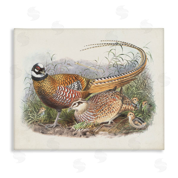 stupell industries Wild Apple Portfolio | Pheasant Family in Nature Wall Art