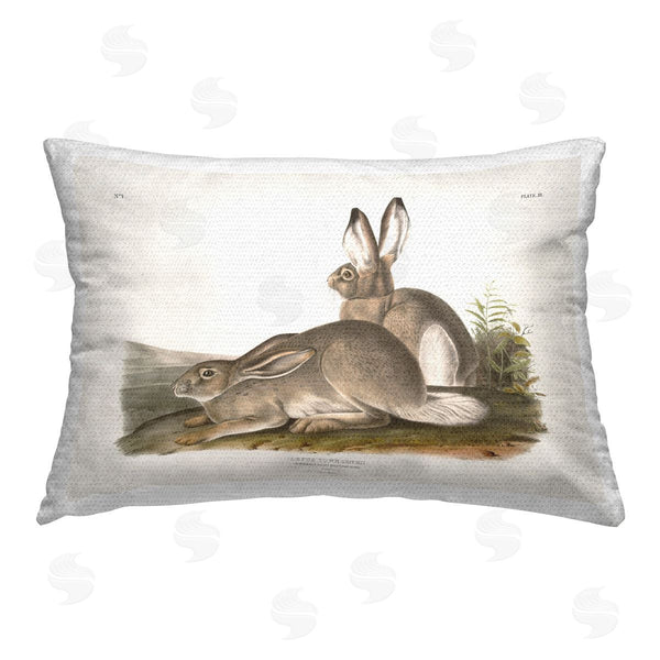 Stupell Industries Wild Apple Portfolio | Traditional Cottage Hare
