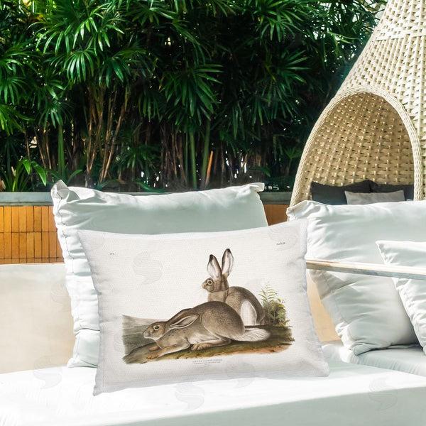 Stupell Industries Wild Apple Portfolio | Traditional Cottage Hare