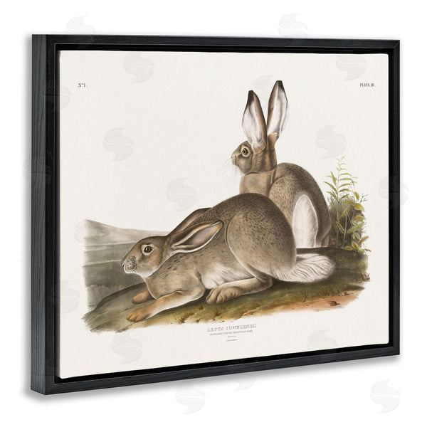 Stupell Industries Wild Apple Portfolio | Traditional Cottage Hare