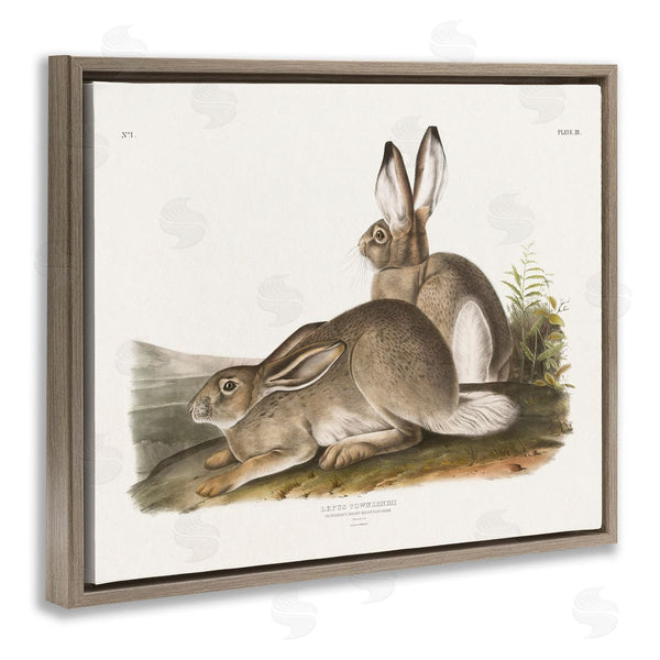 Stupell Industries Wild Apple Portfolio | Traditional Cottage Hare