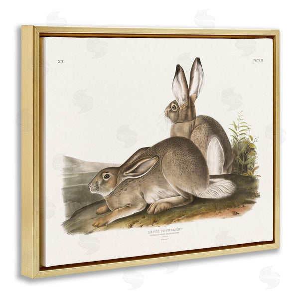 Stupell Industries Wild Apple Portfolio | Traditional Cottage Hare
