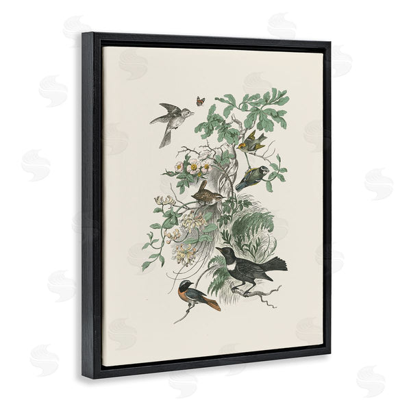Stupell Industries Wild Apple Portfolio | Various Birds In Vintage Nature